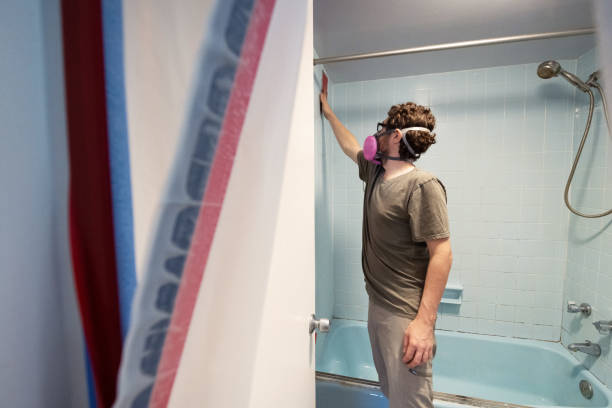 Best Attic Mold Removal  in Rogersville, AL