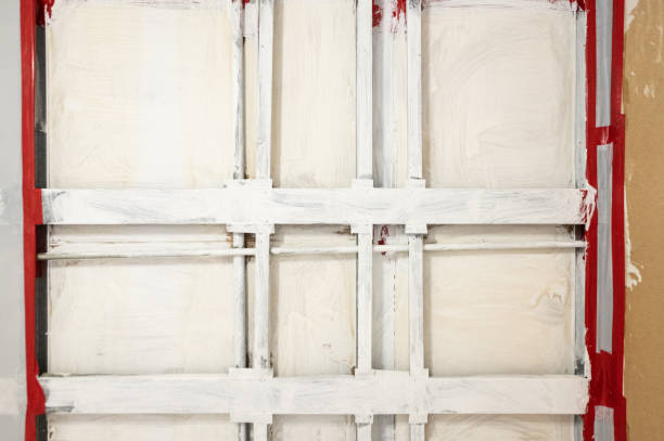 Best Post-Construction Mold Inspection  in Rogersville, AL