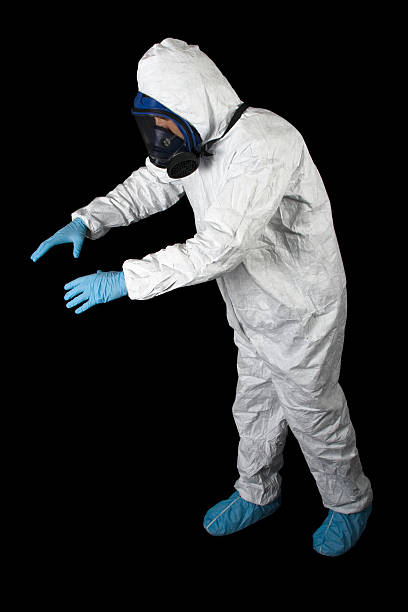 Best Mold Damage Restoration  in Rogersville, AL