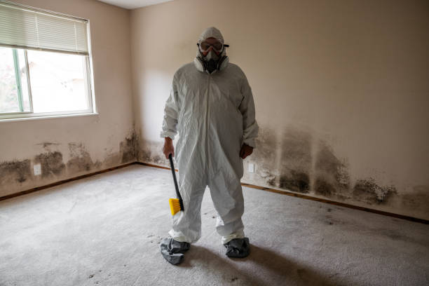 Best Post-Remediation Verification Testing  in Rogersville, AL